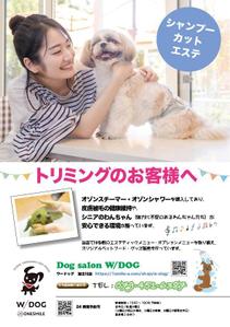 株式会社ミネルバ (kk_minerva)さんのドッグサロン「Ｗ／ＤＯＧ（ウードッグ）」の集客チラシへの提案