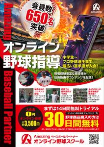 Y.design (yamashita-design)さんのオンライン野球スクールの集客チラシ【別商品購入者の同梱物】への提案