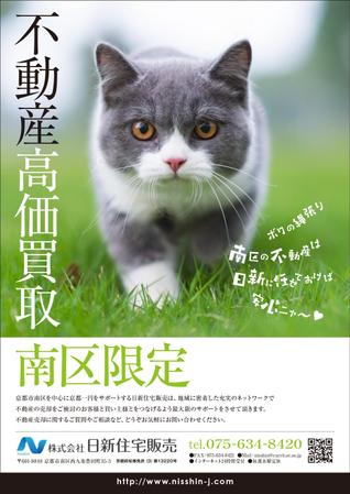 Y.design (yamashita-design)さんの不動産屋買取チラシのデザインへの提案