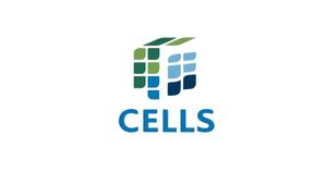 syd (syd0611)さんのエクセルを得意とするCells社のロゴへの提案