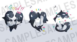 株式会社 CFC (ah07)さんの海の生物　カメ　イルカ　クジラ　サメ　夫婦キャラクターへの提案
