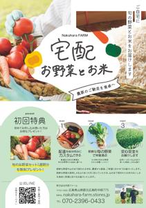 megumi (kakui0705)さんの野菜の宅配サービスのチラシへの提案