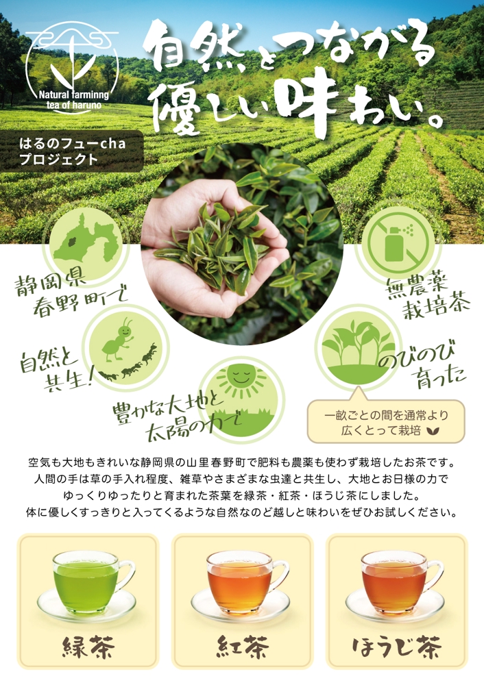 お茶の自然栽培(農薬肥料無仕様の緑茶・ほうじ茶・紅茶）の案内用