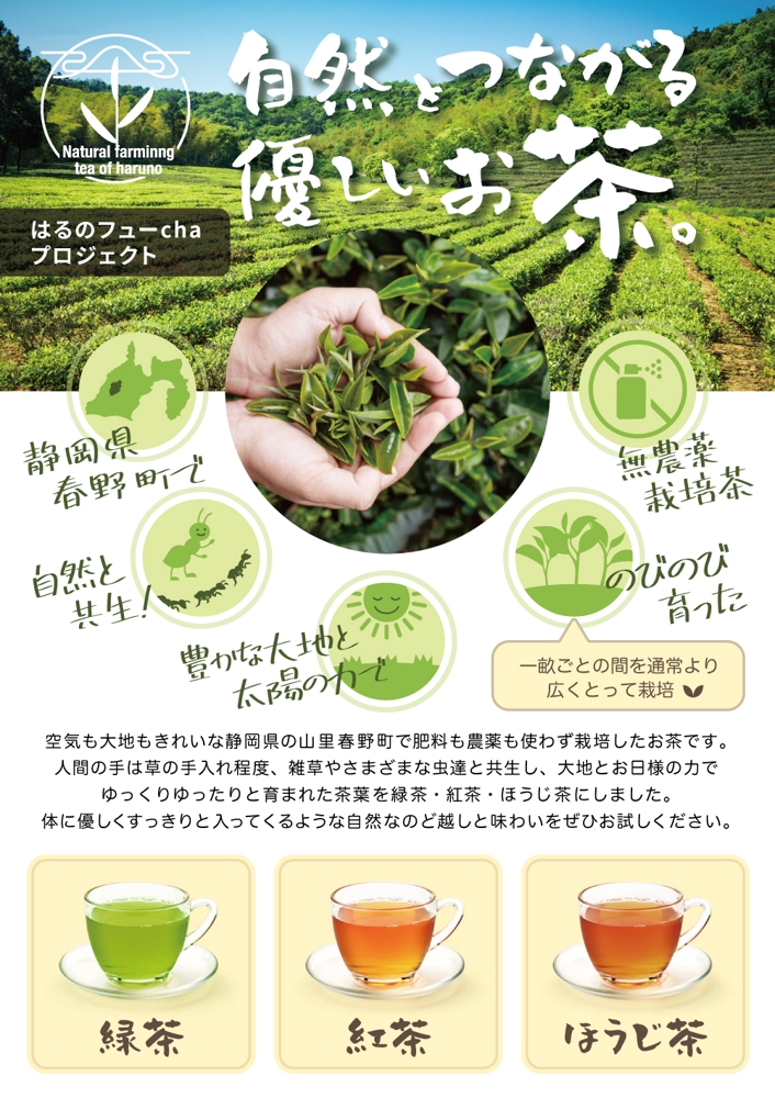 お茶の自然栽培(農薬肥料無仕様の緑茶・ほうじ茶・紅茶）の案内用