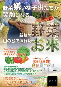 吉田圭太 (keita_yoshida)さんの野菜の宅配サービスのチラシへの提案