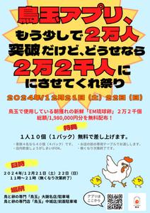株式会社おにぎり村 (toiro-mito)さんの「鳥玉アプリ、もう少しで２万人突破だけど、どうせなら2万２千人にさせてくれ祭り」のフライヤーデザインへの提案