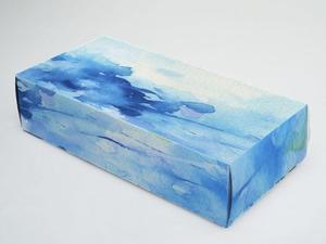 Ayano Ichiyanagi (Ayanagi05)さんのソフトパックティッシュのパッケージデザイン依頼への提案