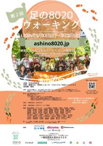 karashi (karashi6388)さんの第3回 足の８０２０ウォーキング のチラシ（兼ポスター）をCanvaで作成への提案