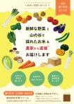 坂見美久 (sakamidesu)さんの野菜の宅配サービスのチラシへの提案