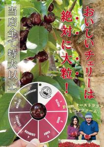 坂見美久 (sakamidesu)さんの青果売場に飾る「チェリーは大粒がおいしい！」ポスターへの提案
