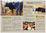 小西楓 (maplechoco-design)さんの肉のECサイトMEGA MEATで定期的に発送するパンフレットデザイン作成への提案