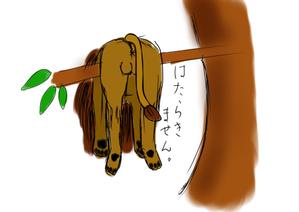 Bedy (dhd_office)さんの少しネガティブなセリフを吐く動物のイラストの面白いTシャツへの提案