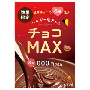y_hat design (y_hat1202)さんのベビーカステラ専門店たまご姫（新商品チョコMAX）のA1ポスターデータ作成依頼への提案