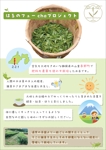 Glühmo【グリューモ】 (Gluehmo_Design)さんのお茶の自然栽培(農薬肥料無仕様の緑茶・ほうじ茶・紅茶）の案内用への提案
