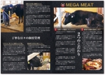 STUDIO_SATSUKI (studiosatsuki)さんの肉のECサイトMEGA MEATで定期的に発送するパンフレットデザイン作成への提案
