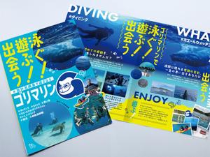 タダノ (imomgmg78)さんの奄美大島のダイビングと宿のサービスを紹介するチラシの作成（B5折り）への提案