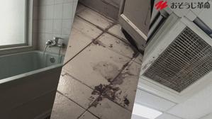 junji_katano (junji_katano)さんの掃除の会社の15秒広告用動画の制作への提案