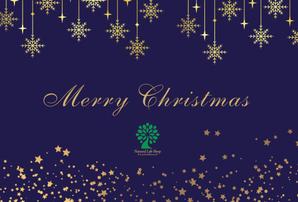 AMO (Amo-)さんの【クリスマスカード作成】 健康食品会社　プレゼント用クリスマスカードA6両面への提案