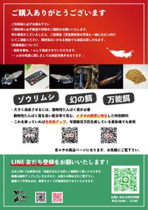 おこのぎ (syouyu-coffee)さんのメダカ屋の同梱チラシの作成依頼への提案