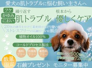 Hikaru (hikaru_0822)さんのランディングページのヘッダーデザインへの提案