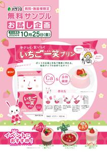 株式会社ＭＤＳ (MDS_st100)さんのいちごプリンの素 DMチラシ制作依頼への提案