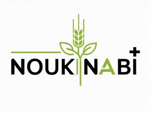 NAVNEET SINGH (HANAVI)さんの農業機械　PB商品　【NOUKINABI+】ノウキナビプラスのローマ字表記のロゴ　への提案