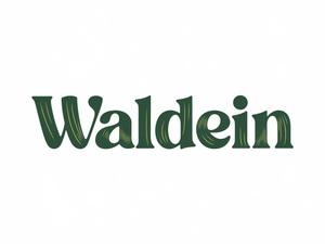 NAVNEET SINGH (HANAVI)さんのWALDEIN　革製品ブランドロゴ制作への提案