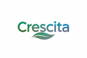 NAVNEET SINGH (HANAVI)さんのイベント会社　「CRESCITA」のロゴ作成への提案