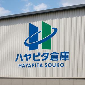 NAVNEET SINGH (HANAVI)さんの建築会社のホームページで使うロゴの作成への提案