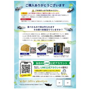 uchinoデザイン (miU0o0U)さんのメダカ屋の同梱チラシの作成依頼への提案