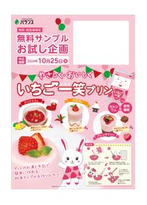 八田真紀子 (makiko_hatta)さんのいちごプリンの素 DMチラシ制作依頼への提案