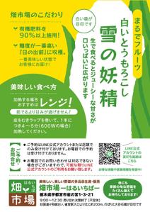 カワムラクミ (k_number93)さんの白いとうもろこしの説明チラシへの提案