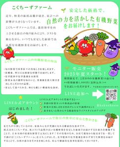Twebさん (Tweb)さんの有機野菜販売の新事業に関するLINE公式アカウント登録お願いのチラシへの提案