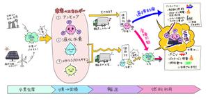 ムラサキウニ (a-s-m-l)さんの水素キャリアとしてのアンモニア二刀流イラスト  への提案