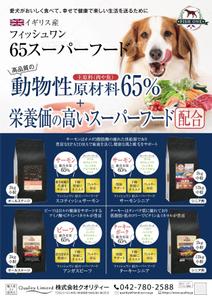IZUMI design studio (izuminet)さんのスーパーフード65　チラシへの提案