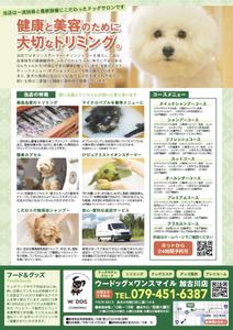 IZUMI design studio (izuminet)さんのドッグサロン「Ｗ／ＤＯＧ（ウードッグ）」の集客チラシへの提案