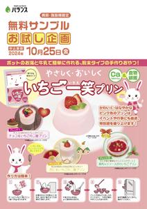 IZUMI design studio (izuminet)さんのいちごプリンの素 DMチラシ制作依頼への提案