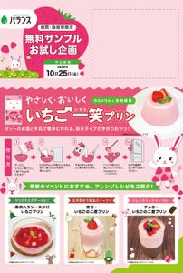 N.D.F (nomu_boco)さんのいちごプリンの素 DMチラシ制作依頼への提案