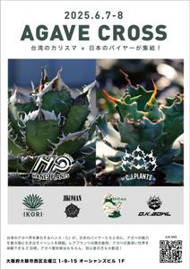 GT_Design (GT_Design)さんのアガベ(植物)のイベントポスターをお願いします。への提案