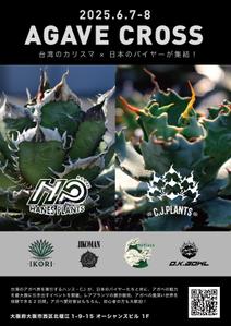 GT_Design (GT_Design)さんのアガベ(植物)のイベントポスターをお願いします。への提案