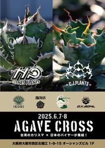 GT_Design (GT_Design)さんのアガベ(植物)のイベントポスターをお願いします。への提案