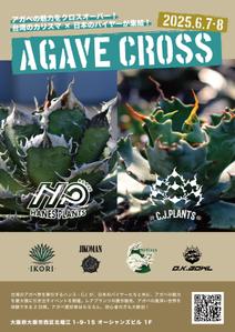GT_Design (GT_Design)さんのアガベ(植物)のイベントポスターをお願いします。への提案