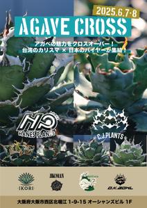 GT_Design (GT_Design)さんのアガベ(植物)のイベントポスターをお願いします。への提案