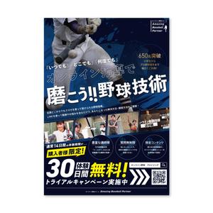 植田蛍子 (keikoueda)さんのオンライン野球スクールの集客チラシ【別商品購入者の同梱物】への提案
