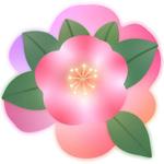 赤堀広志 (SDGsHIRO)さんのコンサルティング業　㈱カメリアコンサルティング　の　ロゴへの提案
