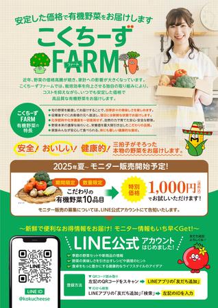 デザインヒュイル (MMMdesign)さんの有機野菜販売の新事業に関するLINE公式アカウント登録お願いのチラシへの提案