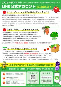 Azure Design (amberina)さんの有機野菜販売の新事業に関するLINE公式アカウント登録お願いのチラシへの提案