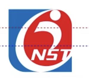 UYUUさんの新会社名「NST株式会社」のロゴ作成への提案