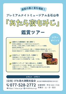 池田みのり (minori_128)さんの滋賀県立美術館ナイトツアー募集チラシへの提案