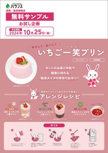maro (yntn1221)さんのいちごプリンの素 DMチラシ制作依頼への提案